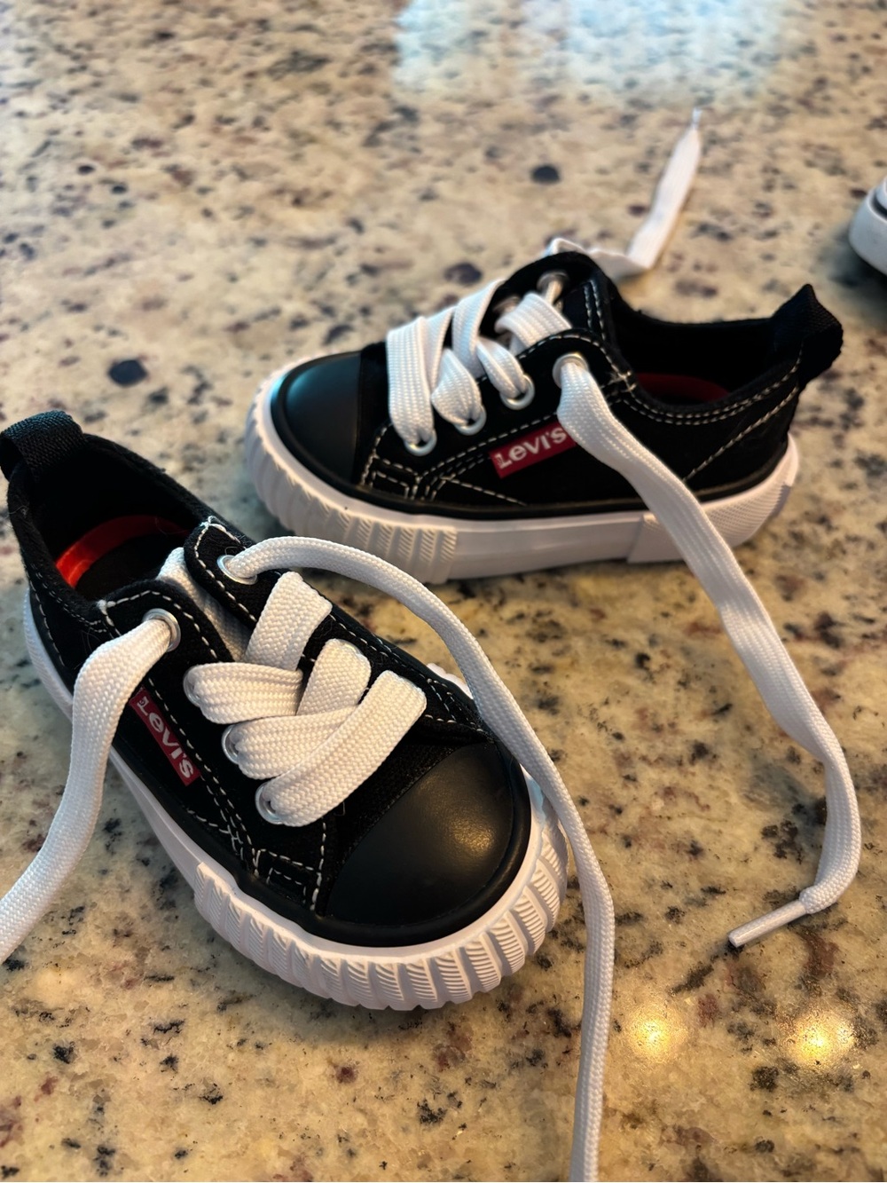 Levi's Kids Black Canvas Low-Top Sneakers with White Laces